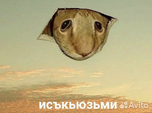 Репетитор по английскому языку