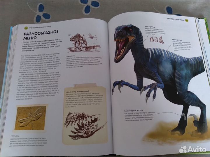 Энциклопедия 