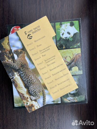 Энциклопедия «В мире дикой природы»