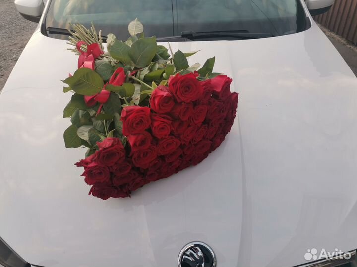 Букет роз. Розы