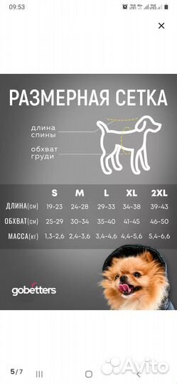 Зимний комбинезон для мелких пород собак