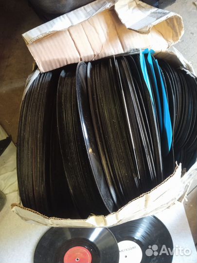 Виниловые пластинки