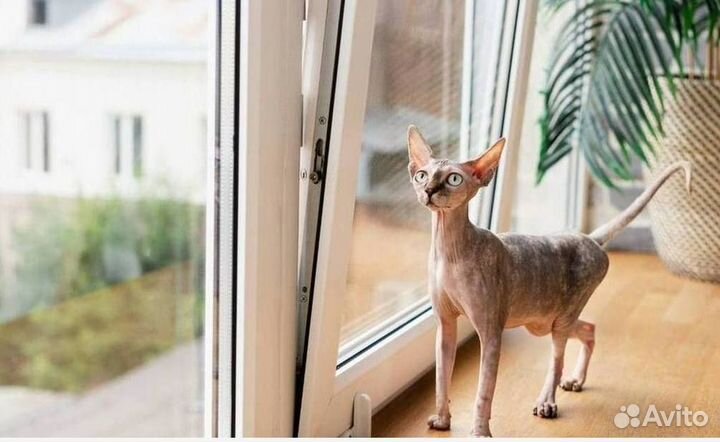 Пластиковые окна от производителя