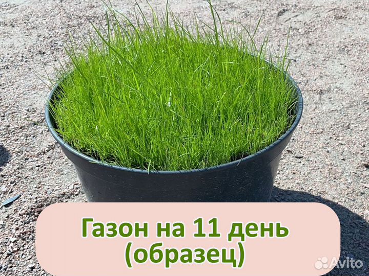 Травосмеси 10кг