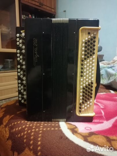 Баян тула 202