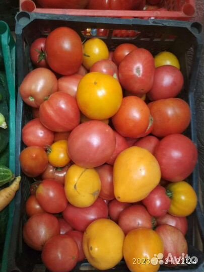 Помидоры, огурцы