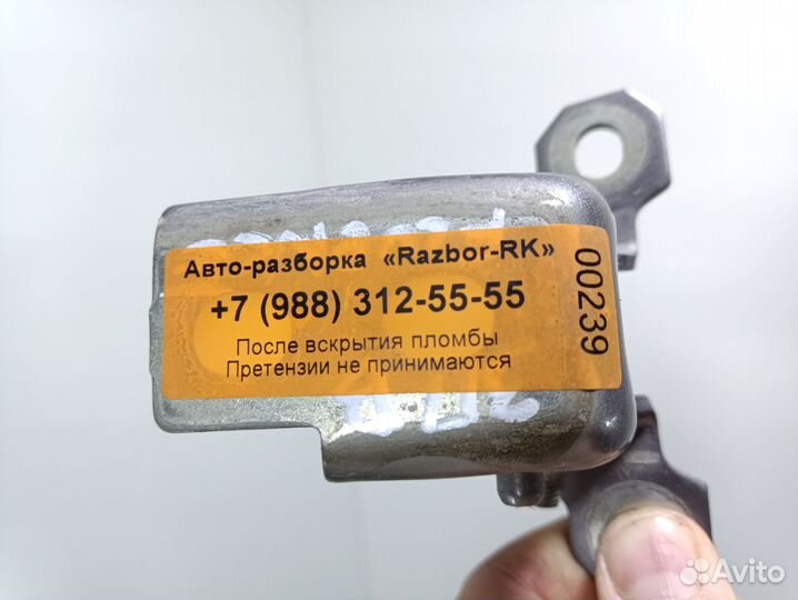 Петля задней правой двери Renault Fluence