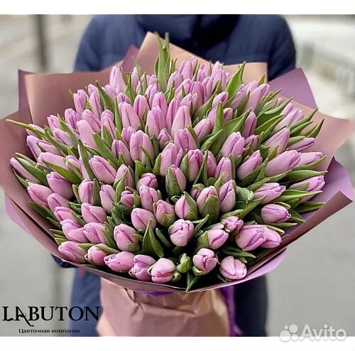 Букет тюльпан 51 шт