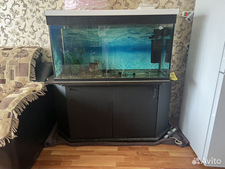 Аквариум