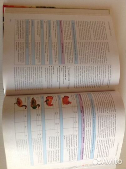 Подарочное издание. Размер 26* 20 см. Объем 400 ст