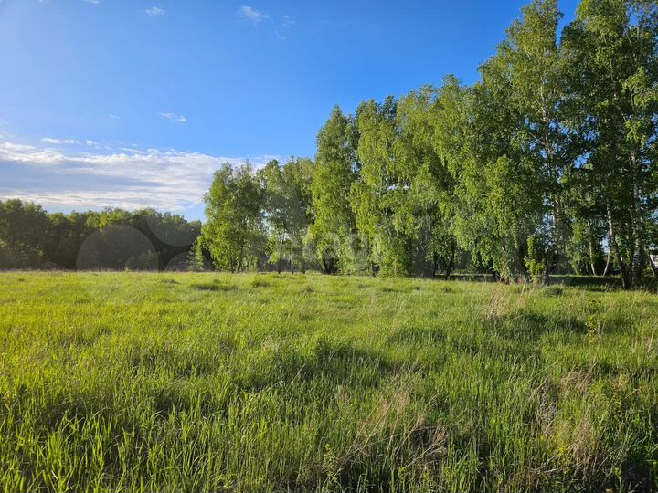 Участок 8,6 сот. (ИЖС)