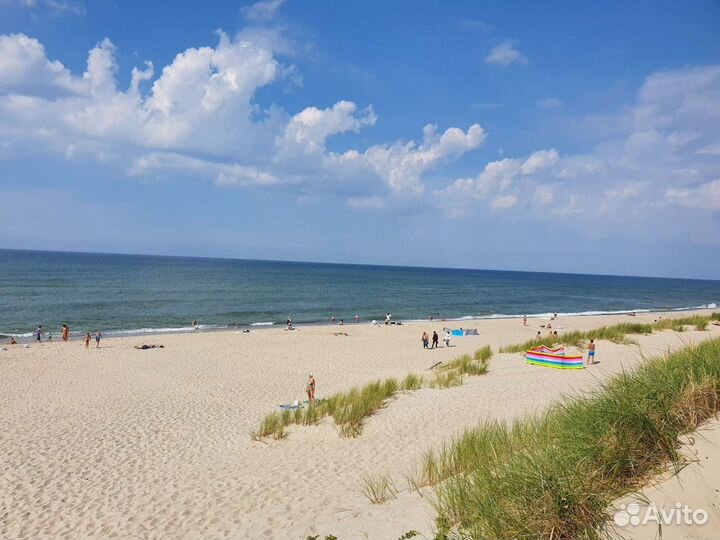 Индивидуальные экскурсии по Калининграду и области