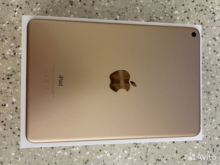 iPad mini 5 256 Gb