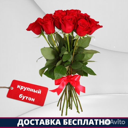 Розы Эквадор - 11 шт. 60 см