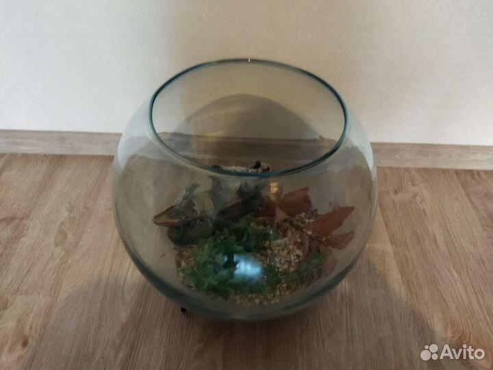 Аквариум круглый 15л с содержимым