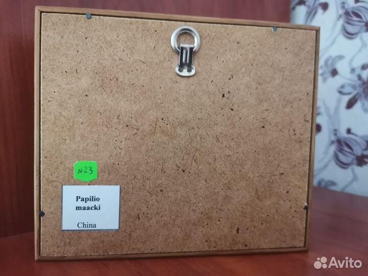 Бабочка