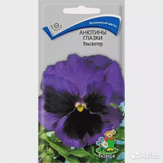 Анютины глазки Ульсвотер