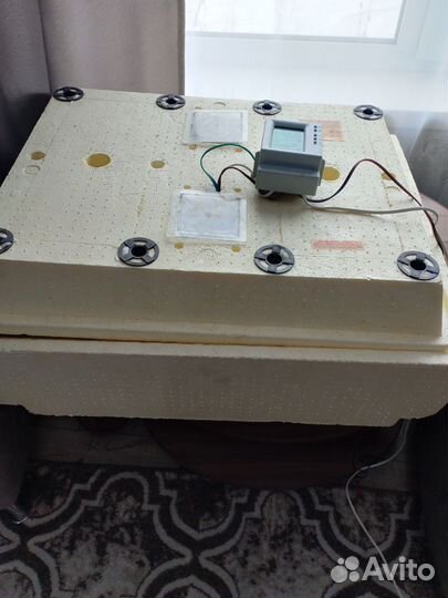 Инкубатор золушка