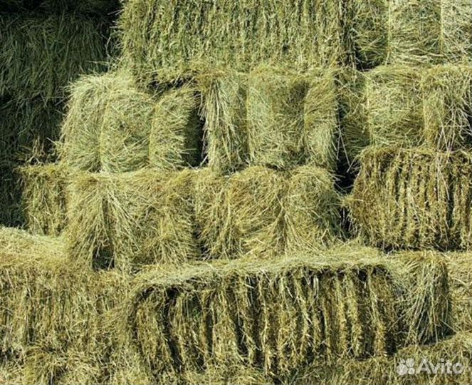 Сено тюковое луговое