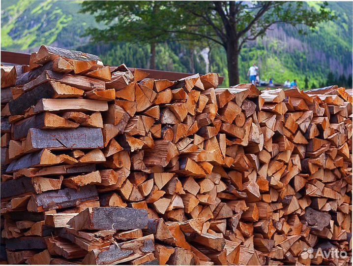 Дрова осиновые