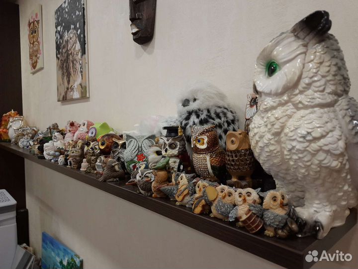 Коллекция сов