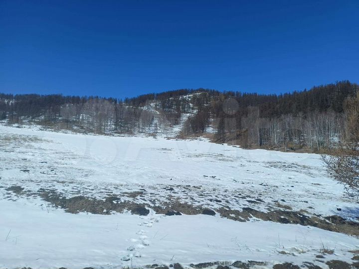 Участок 1,66 га (СНТ, ДНП)