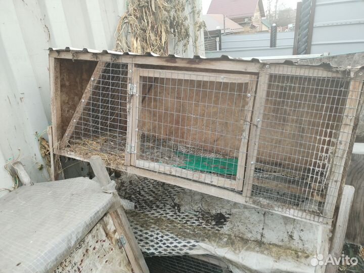 Клетка для кролика