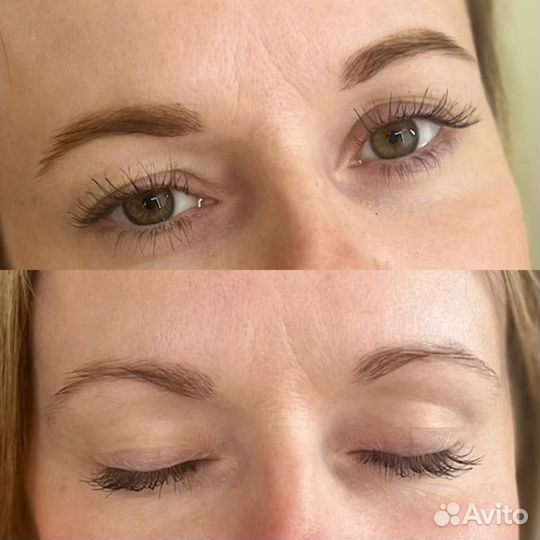 Мастер бровист