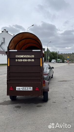 Перевозка лошадей, крс, мрс