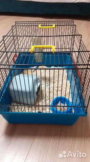 Сирийский хомяк с клеткой