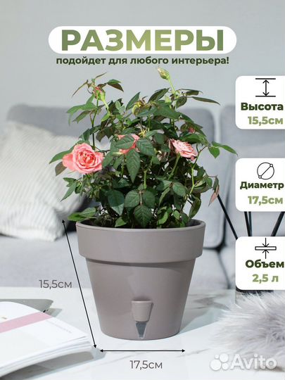 Кашпо для цветов