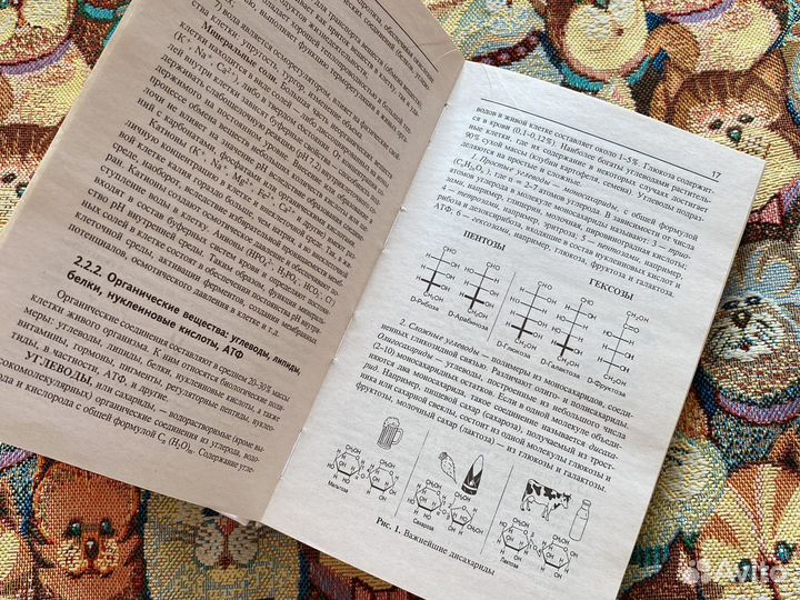 Книга для подготовки к егэ/огэ по биологии