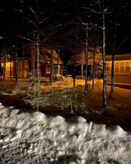 Коттедж 50 м² на участке 15 сот.