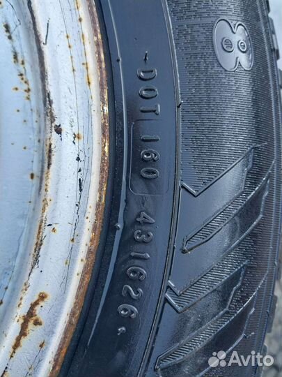 Nokian Tyres Nordman 8 175/70 R14
