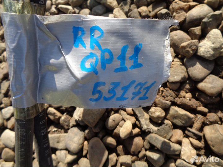 Трубка тормозная задняя Nissan Primera QP11 QG18DE