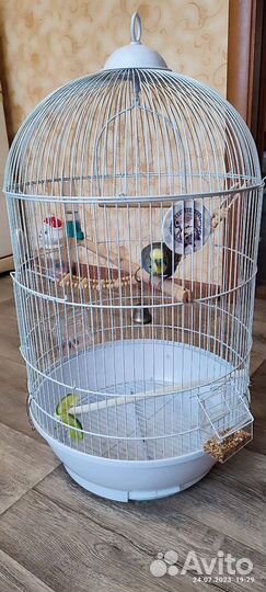 Клетка для птиц круглая
