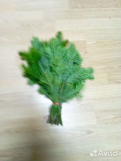 Пихтовые веники для бани