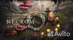 The Elder Scrolls Online Necrom Collection PS4/PS5