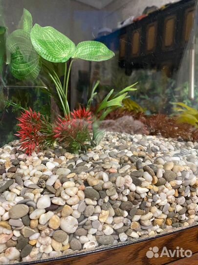 Аквариум угловой с тумбой