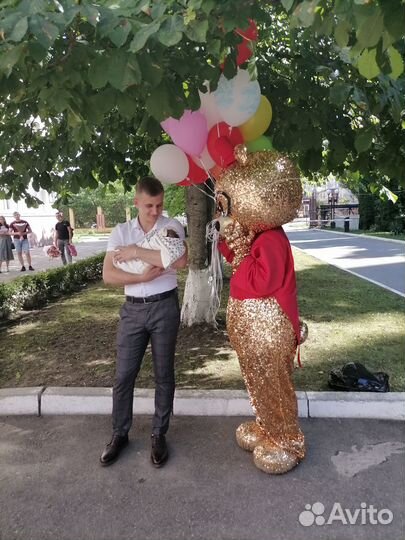 Аниматоры, ростовые куклы