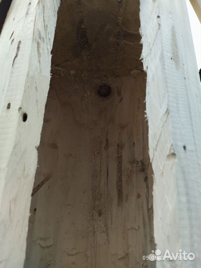 Борти (башкирские улья) пчелиные, колоды