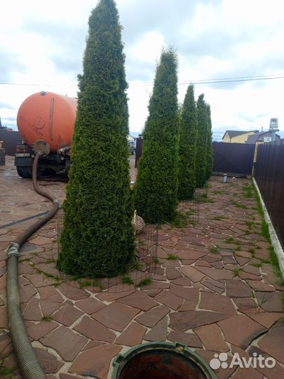 Сезонная откачка дачных туалетов