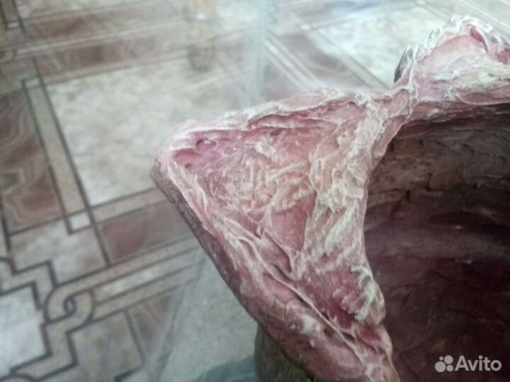 Декор для террариума