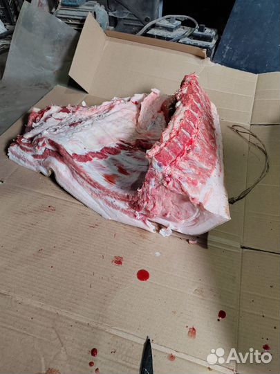 Мясо свинина домашняя