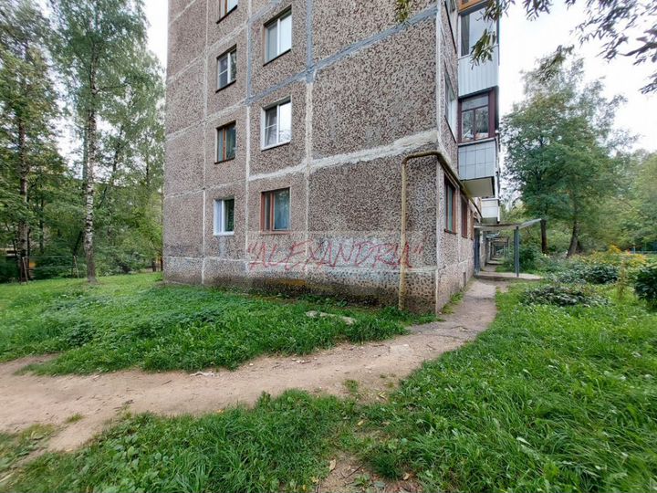 3-к. квартира, 48 м², 1/5 эт.