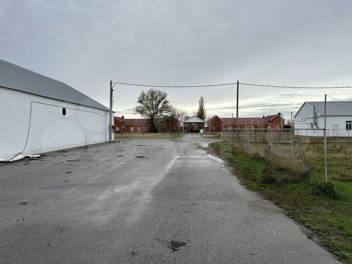 Продается свиноводческий комплекс - 3 579 т./г