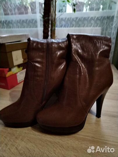 Сапоги осень весна женские