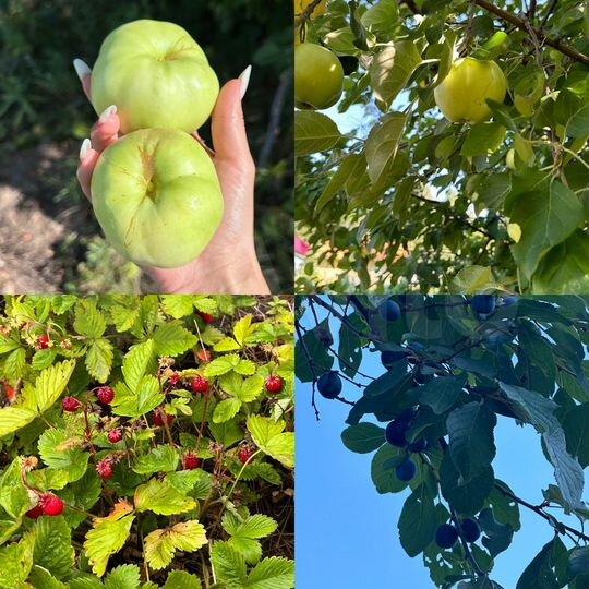 Дача 30 м² на участке 6 сот.