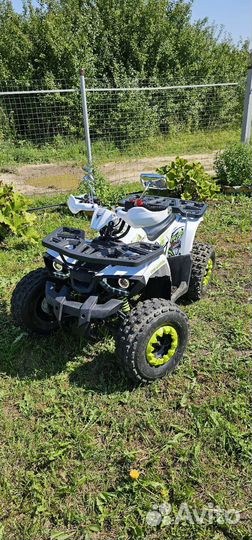 Квадроцикл Avantis Hunter 8 new
