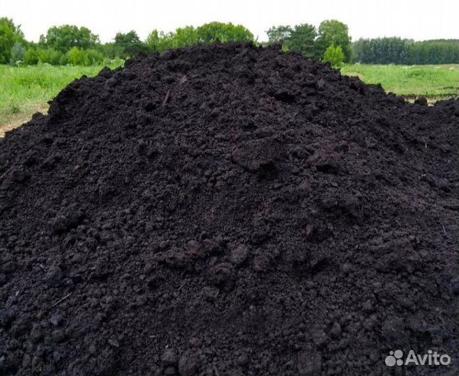 Чернозём плодородный